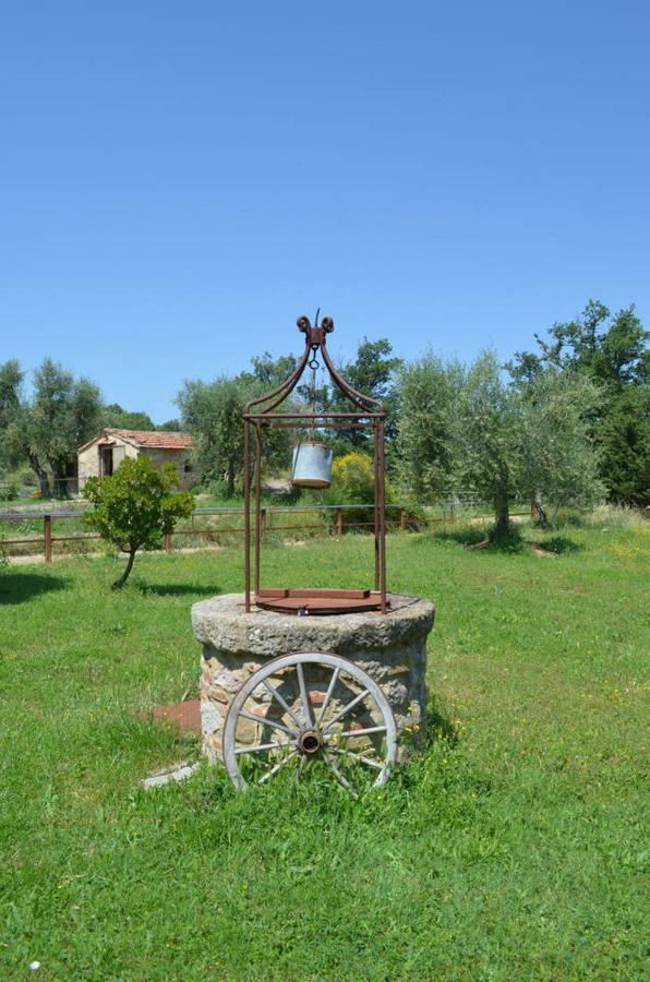 La Casina Degli Olivi Guest House Seggiano Екстериор снимка